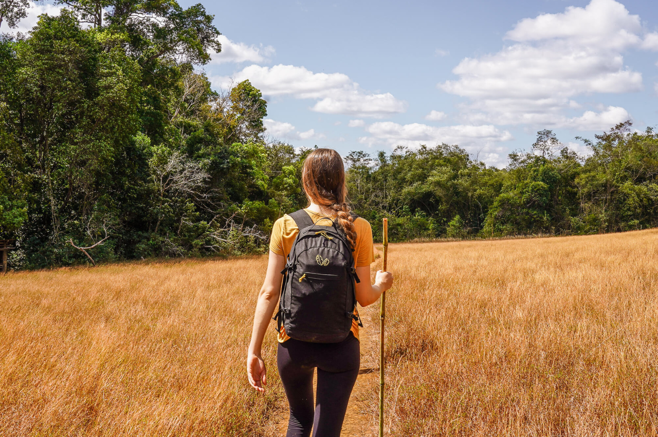 dry season,Mondulkiri 