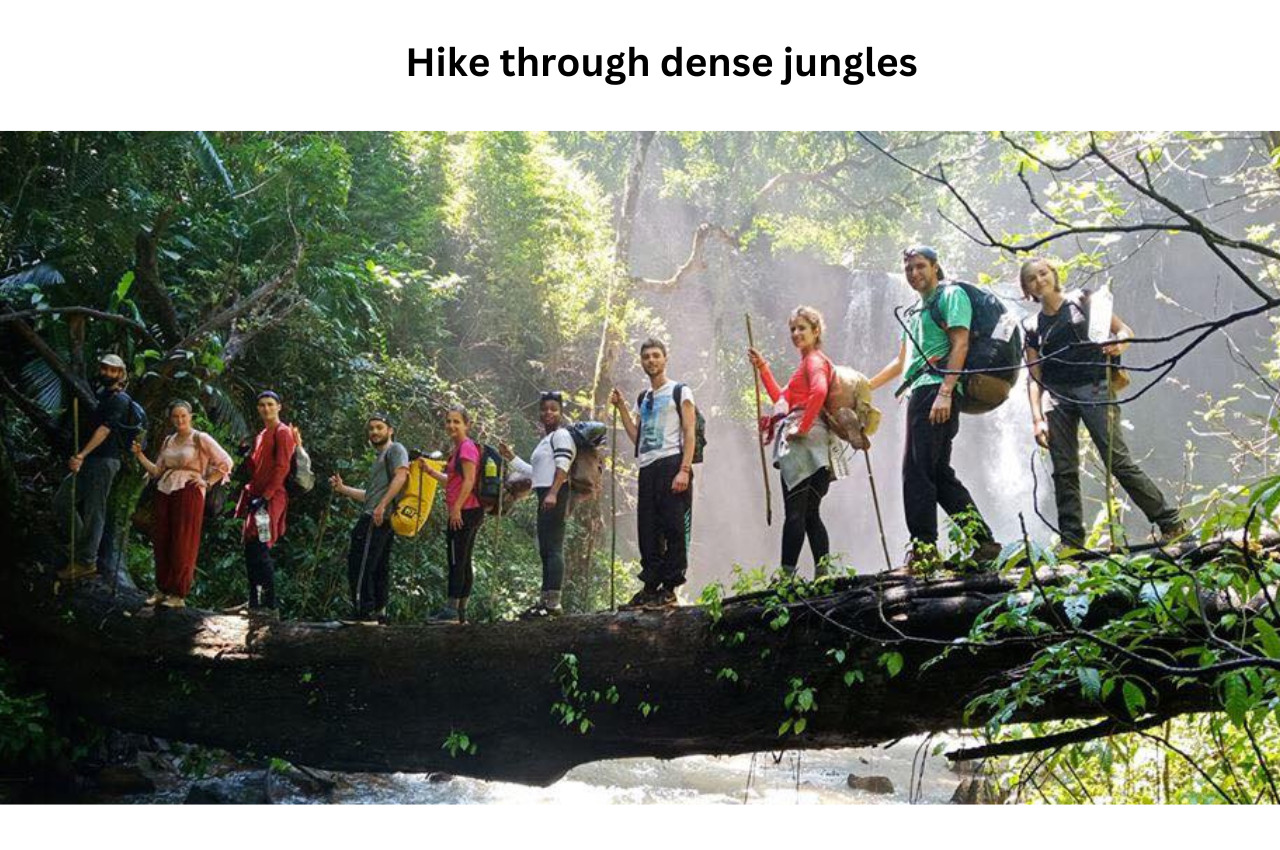 hike through dense jungles,Mondulkiri 