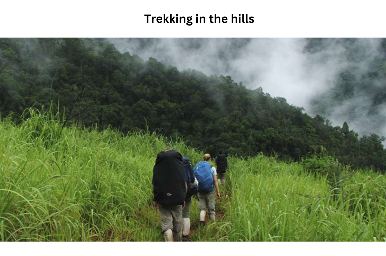 rekking in the hills,Mondulkiri 