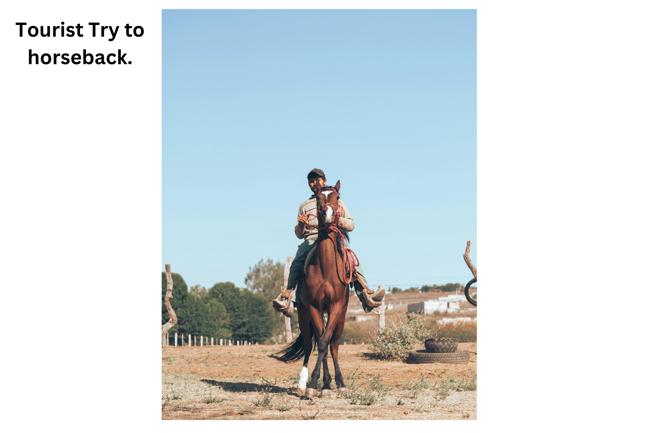 horseback,Mondulkiri 